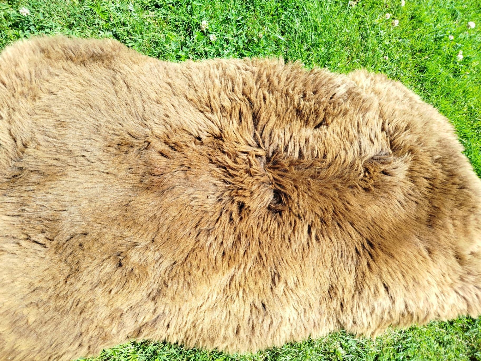 Premium Dutch Sheepskins - Home Appliances in Vancouver, British Columbia - Buy and Sell on Fliku