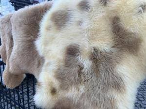 Collection of MELIERT, natural sheepskins - Home Appliances in Vancouver, British Columbia - Buy and Sell on Fliku